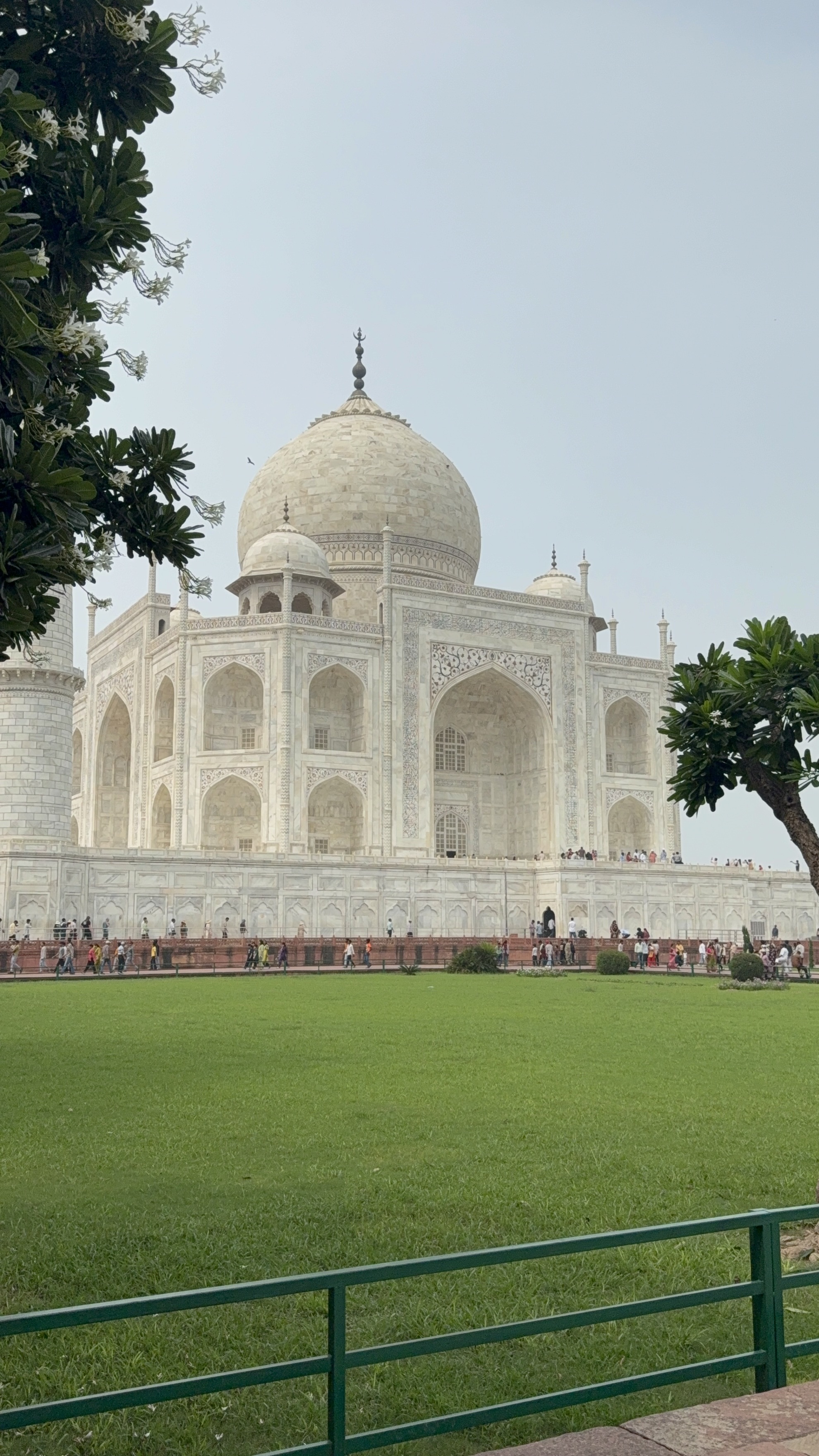 Review image 1